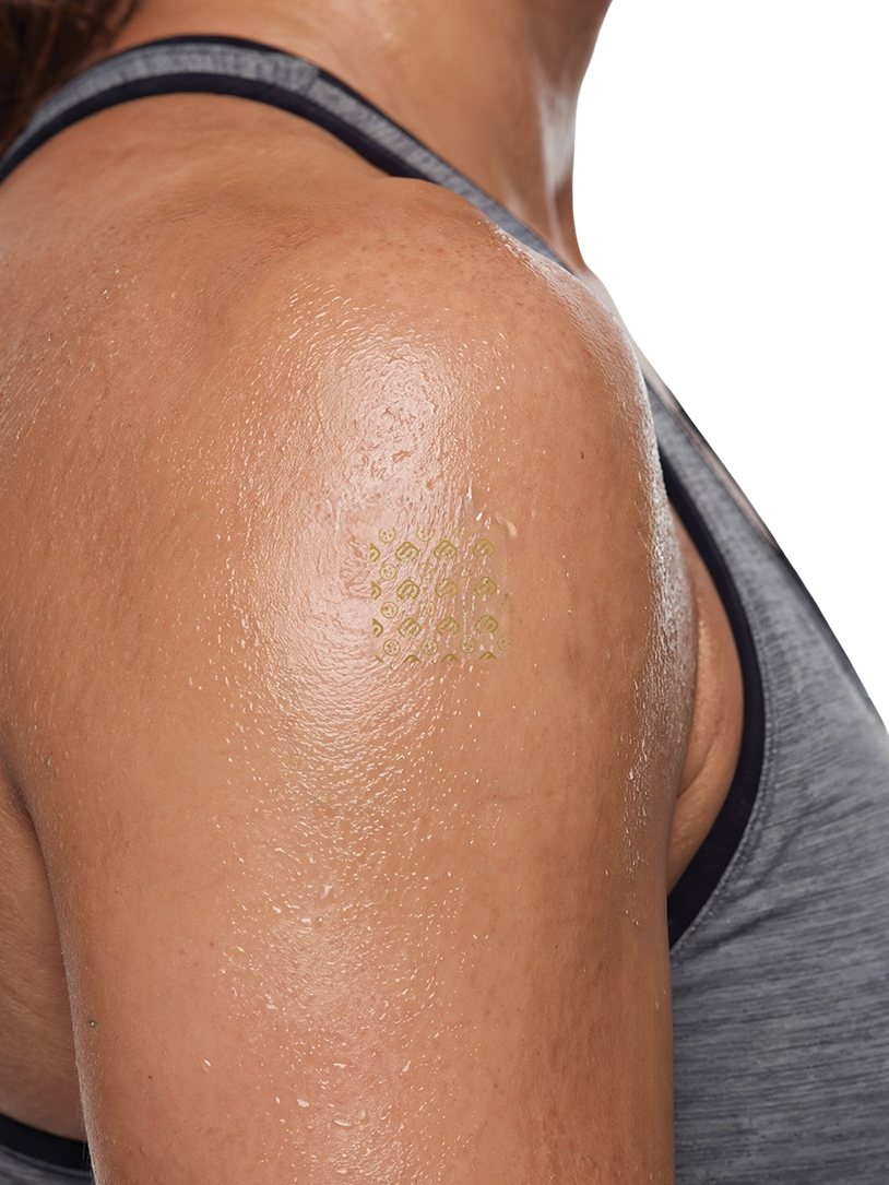 Shoulder