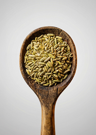 FENNEL
